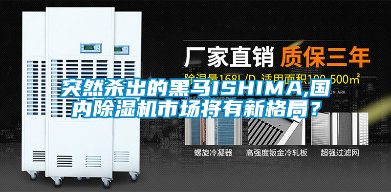 国产精品欧美激情视频 突然杀出的黑马ISHIMA,国内除湿机市场将有新格局？