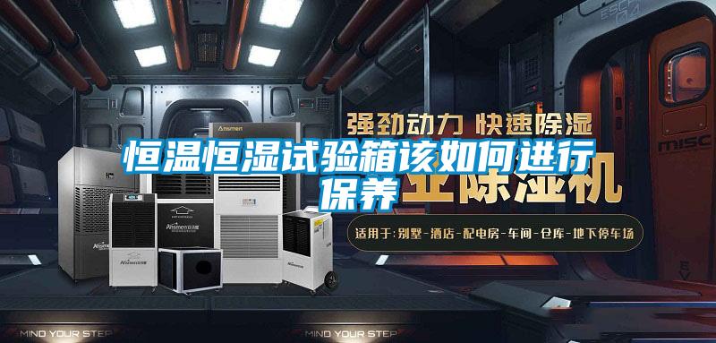 国产精品三级在线观看 恒温恒湿试验箱该如何进行保养
