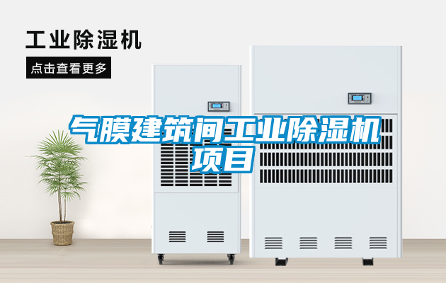 国产精品三级在线观看 气膜建筑间工业除湿机项目