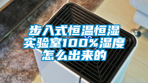 国产精品三级在线观看 步入式恒温恒湿实验室100%湿度怎么出来的