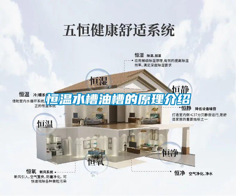 国产精品欧美激情视频 恒温水槽油槽的原理介绍