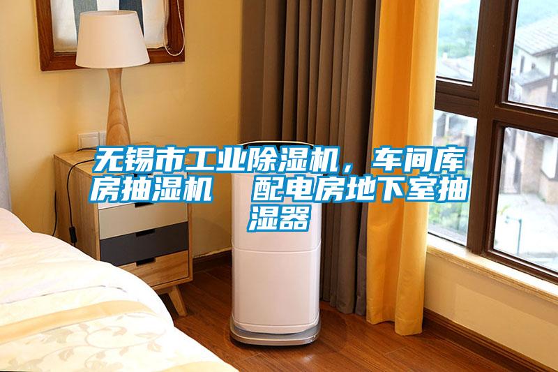 国产精品三级在线观看 无锡市工业除湿机，车间库房抽湿机  配电房地下室抽湿器