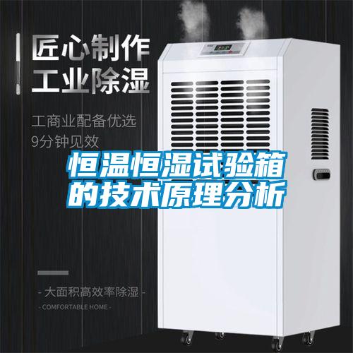 国产精品欧美激情视频 恒温恒湿试验箱的技术原理分析