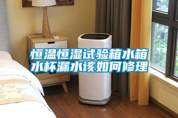 国产精品欧美激情视频 恒温恒湿试验箱水箱水杯漏水该如何修理