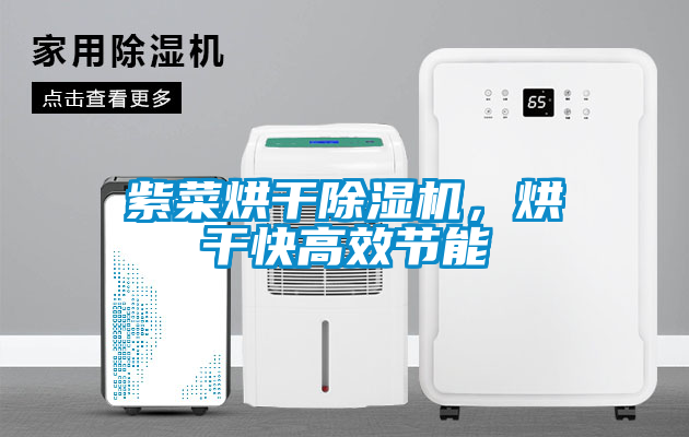 国产精品探花在线观看 紫菜烘干除湿机，烘干快高效节能