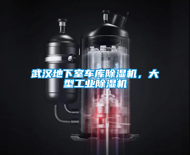 国产精品探花在线观看 武汉地下室车库除湿机，大型工业除湿机