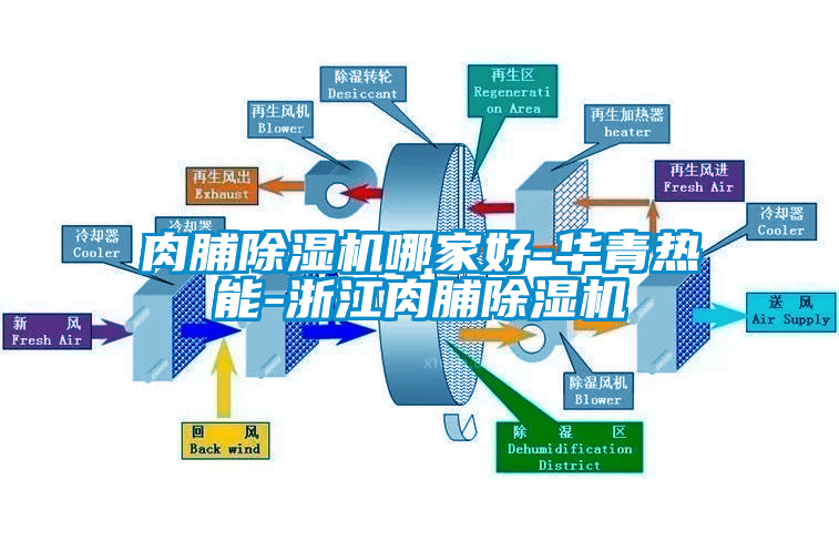 国产精品三级在线观看 肉脯除湿机哪家好-华青热能-浙江肉脯除湿机