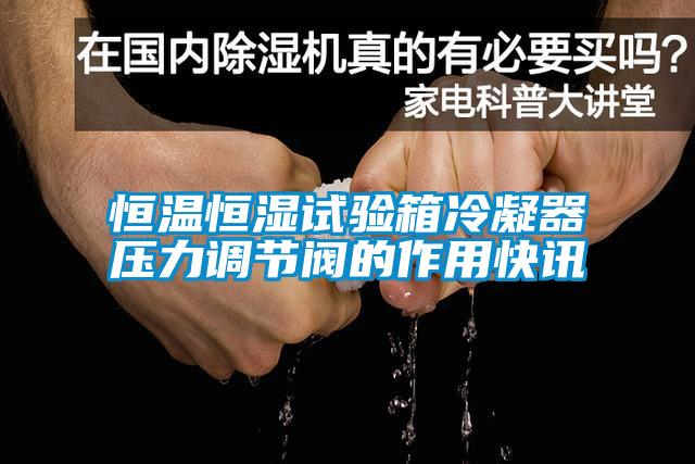国产精品三级在线观看 恒温恒湿试验箱冷凝器压力调节阀的作用快讯