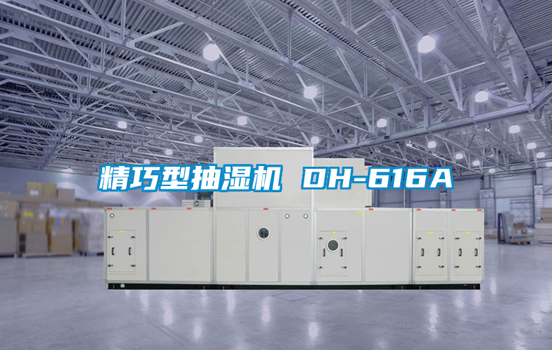 国产精品欧美激情视频 精巧型抽湿机 DH-616A