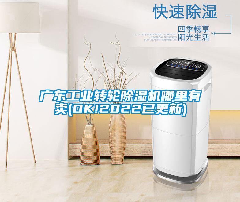 国产精品三级在线观看 广东工业转轮除湿机哪里有卖(OK!2022已更新)