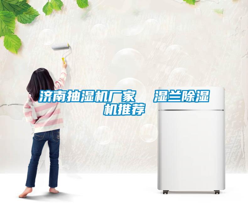 国产精品三级在线观看 济南抽湿机厂家  湿兰除湿机推荐