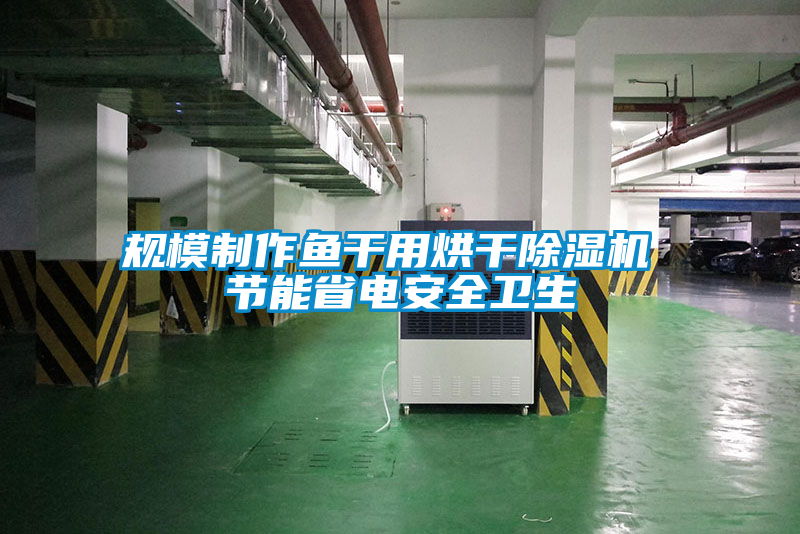 国产精品三级在线观看 规模制作鱼干用烘干除湿机 节能省电安全卫生
