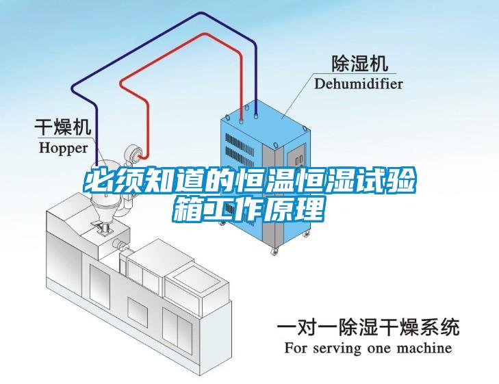 国产精品探花在线观看 必须知道的恒温恒湿试验箱工作原理