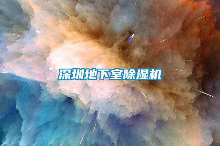 国产精品探花在线观看 深圳地下室除湿机