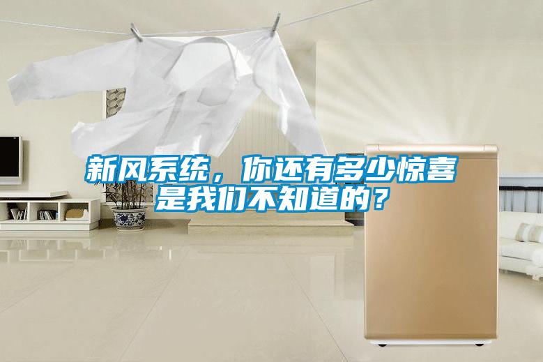 国产精品三级在线观看 新风系统，你还有多少惊喜是我们不知道的？