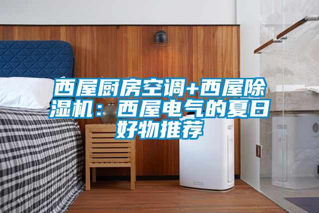 国产精品探花在线观看 西屋厨房空调+西屋除湿机：西屋电气的夏日好物推荐