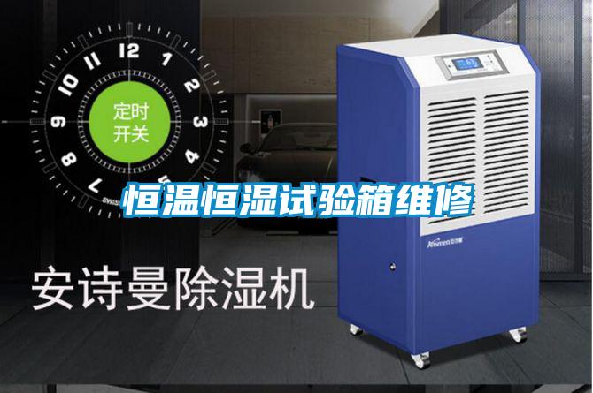 国产精品三级在线观看 恒温恒湿试验箱维修