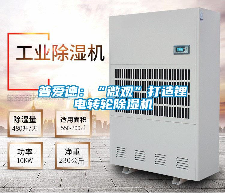 国产精品欧美激情视频 普爱德：“微观”打造锂电转轮除湿机