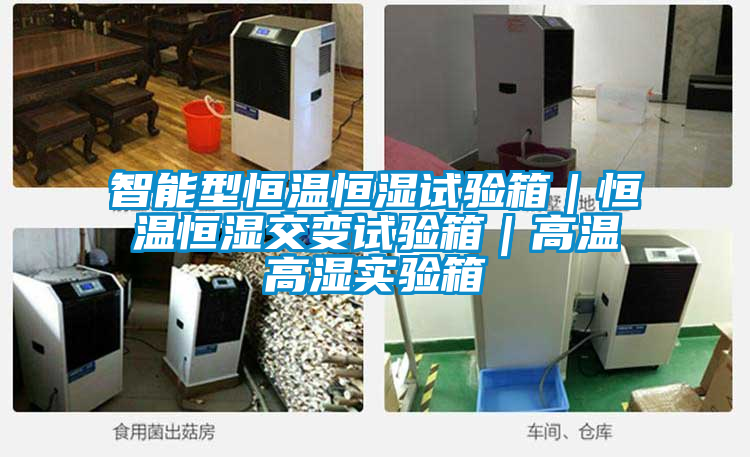 国产精品欧美激情视频 智能型恒温恒湿试验箱｜恒温恒湿交变试验箱｜高温高湿实验箱