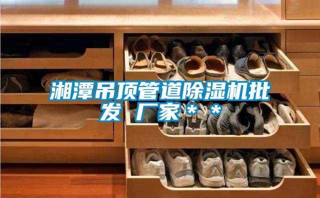 国产精品欧美激情视频 湘潭吊顶管道除湿机批发 厂家＊＊