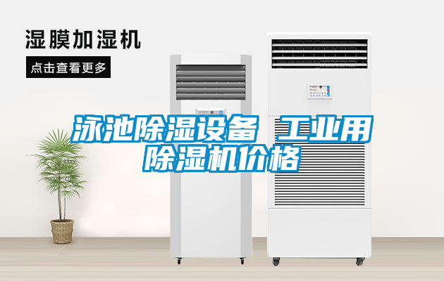 国产精品三级在线观看 泳池除湿设备 工业用除湿机价格