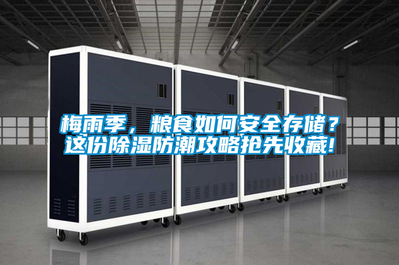 国产精品三级在线观看 梅雨季，粮食如何安全存储？这份除湿防潮攻略抢先收藏!