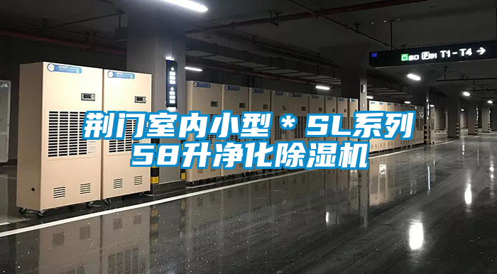 国产精品欧美激情视频 荆门室内小型＊SL系列58升净化除湿机