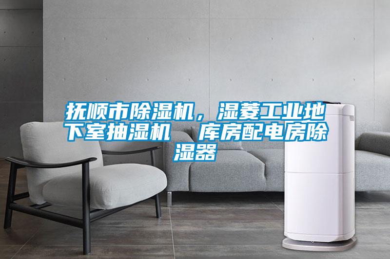 国产精品三级在线观看 抚顺市除湿机，湿菱工业地下室抽湿机  库房配电房除湿器