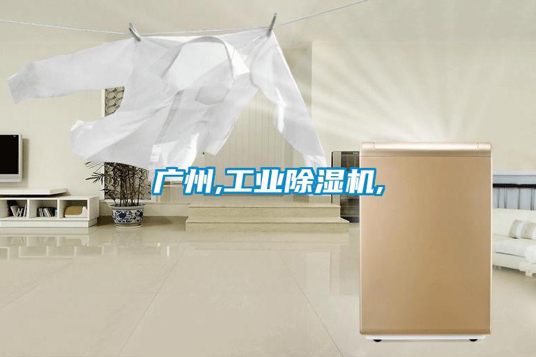 国产精品探花在线观看 广州,工业除湿机,