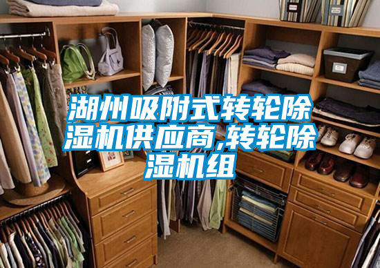 国产精品探花在线观看 湖州吸附式转轮除湿机供应商,转轮除湿机组