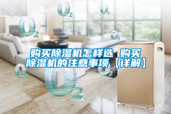 国产精品三级在线观看 购买除湿机怎样选 购买除湿机的注意事项【详解】