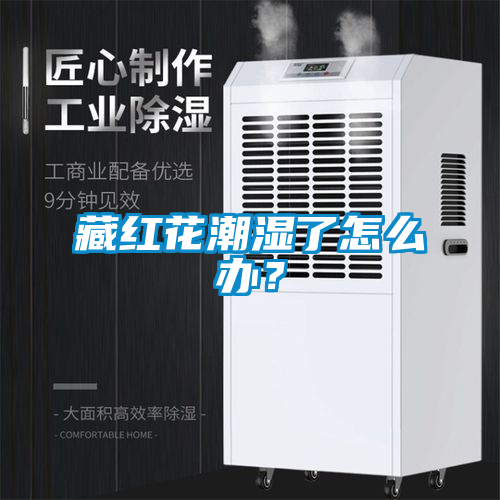 国产精品探花在线观看 藏红花潮湿了怎么办？