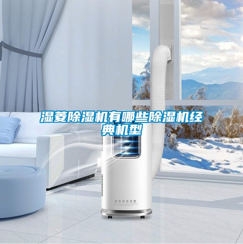 国产精品探花在线观看 湿菱除湿机有哪些除湿机经典机型