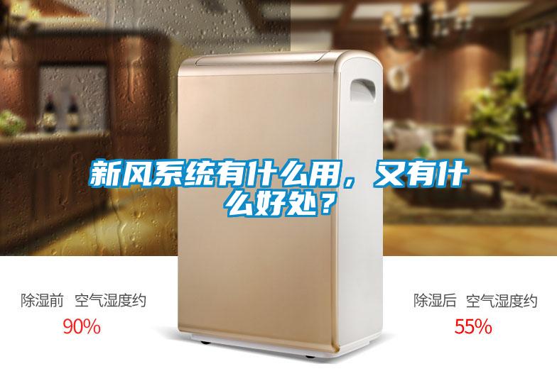 国产精品三级在线观看 新风系统有什么用，又有什么好处？