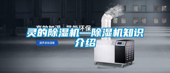 国产精品三级在线观看 灵的除湿机—除湿机知识介绍