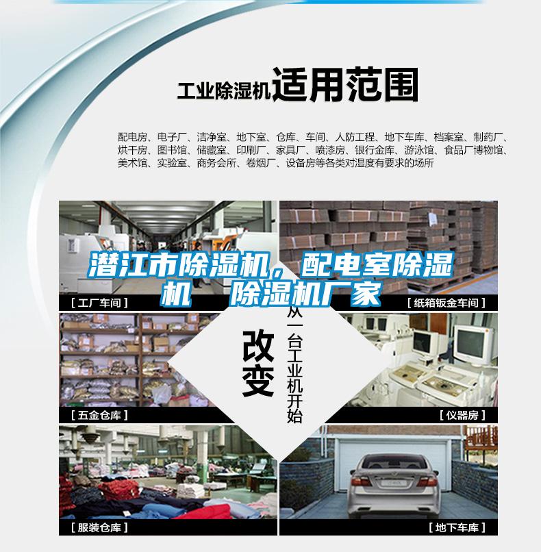 国产精品欧美激情视频 潜江市除湿机，配电室除湿机  除湿机厂家