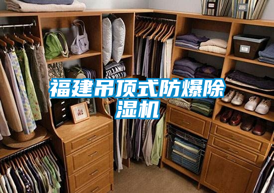 国产精品三级在线观看 福建吊顶式防爆除湿机