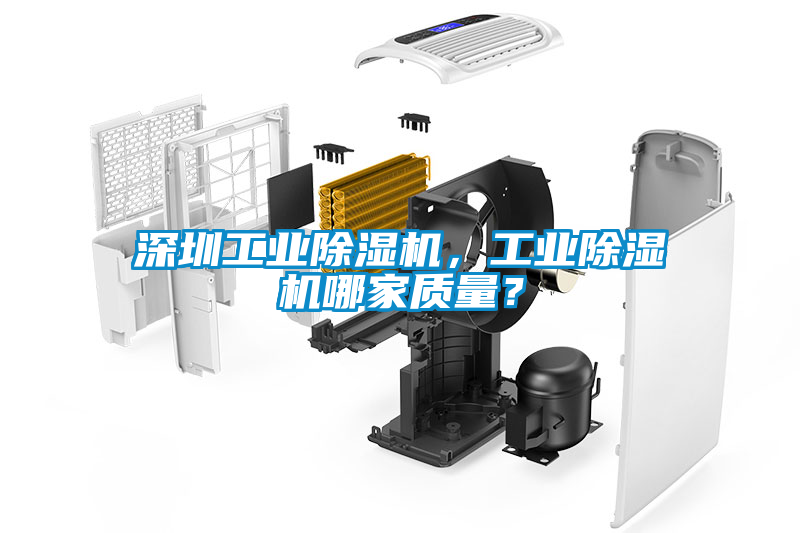 国产精品欧美激情视频 深圳工业除湿机，工业除湿机哪家质量？