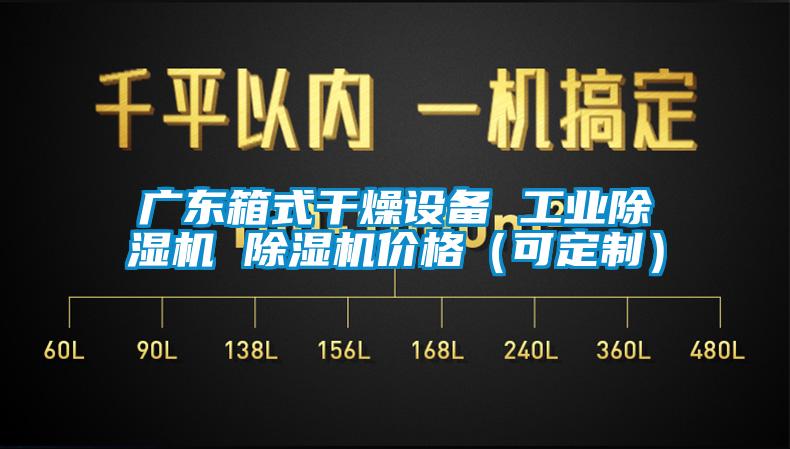 国产精品三级在线观看 广东箱式干燥设备 工业除湿机 除湿机价格（可定制）