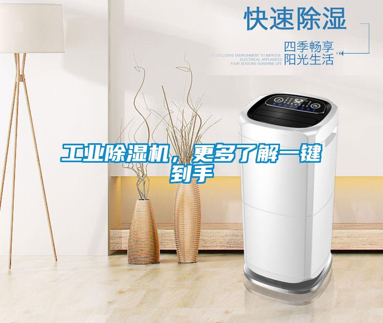 国产精品探花在线观看 工业除湿机，更多了解一键到手