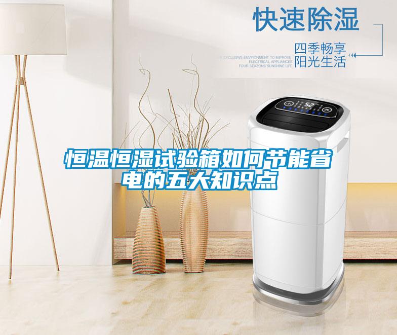 国产精品欧美激情视频 恒温恒湿试验箱如何节能省电的五大知识点
