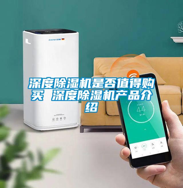国产精品三级在线观看 深度除湿机是否值得购买 深度除湿机产品介绍