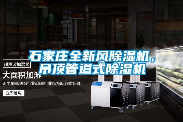 国产精品三级在线观看 石家庄全新风除湿机，吊顶管道式除湿机