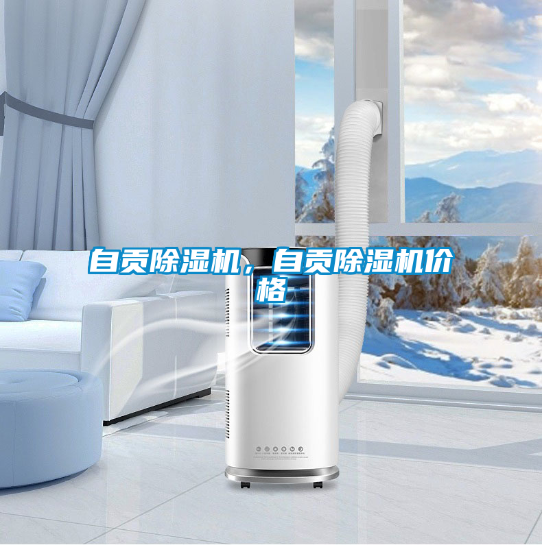 国产精品三级在线观看 自贡除湿机，自贡除湿机价格