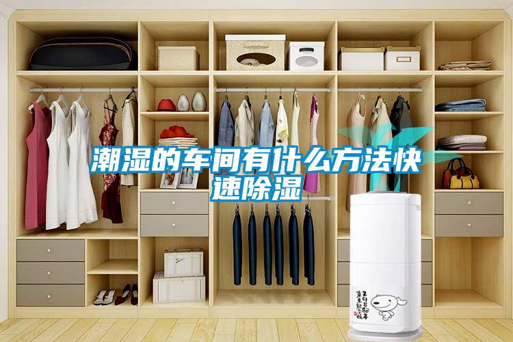 国产精品三级在线观看 潮湿的车间有什么方法快速除湿