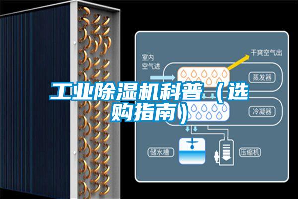 国产精品欧美激情视频 工业除湿机科普（选购指南）
