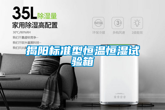 国产精品欧美激情视频 揭阳标准型恒温恒湿试验箱