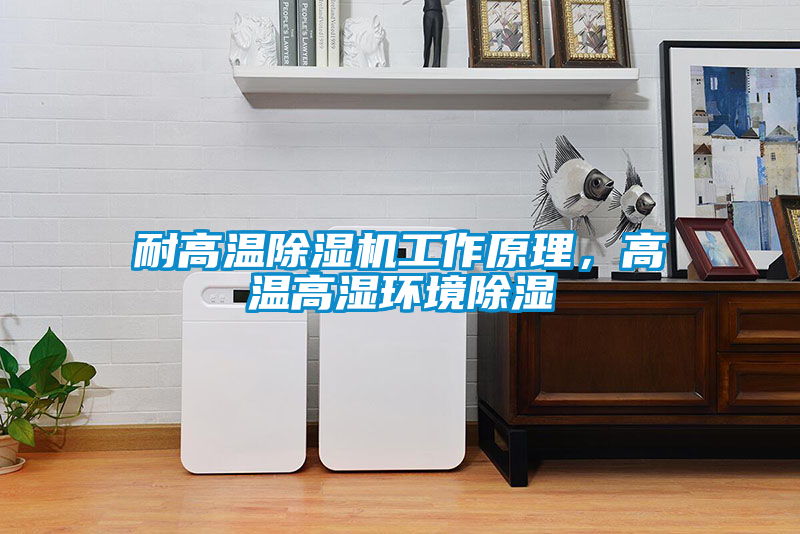 国产精品探花在线观看 耐高温除湿机工作原理，高温高湿环境除湿