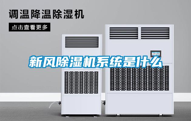 国产精品三级在线观看 新风除湿机系统是什么