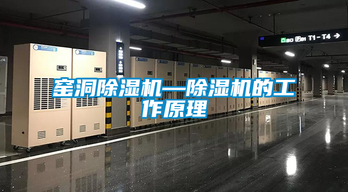 国产精品欧美激情视频 窑洞除湿机—除湿机的工作原理